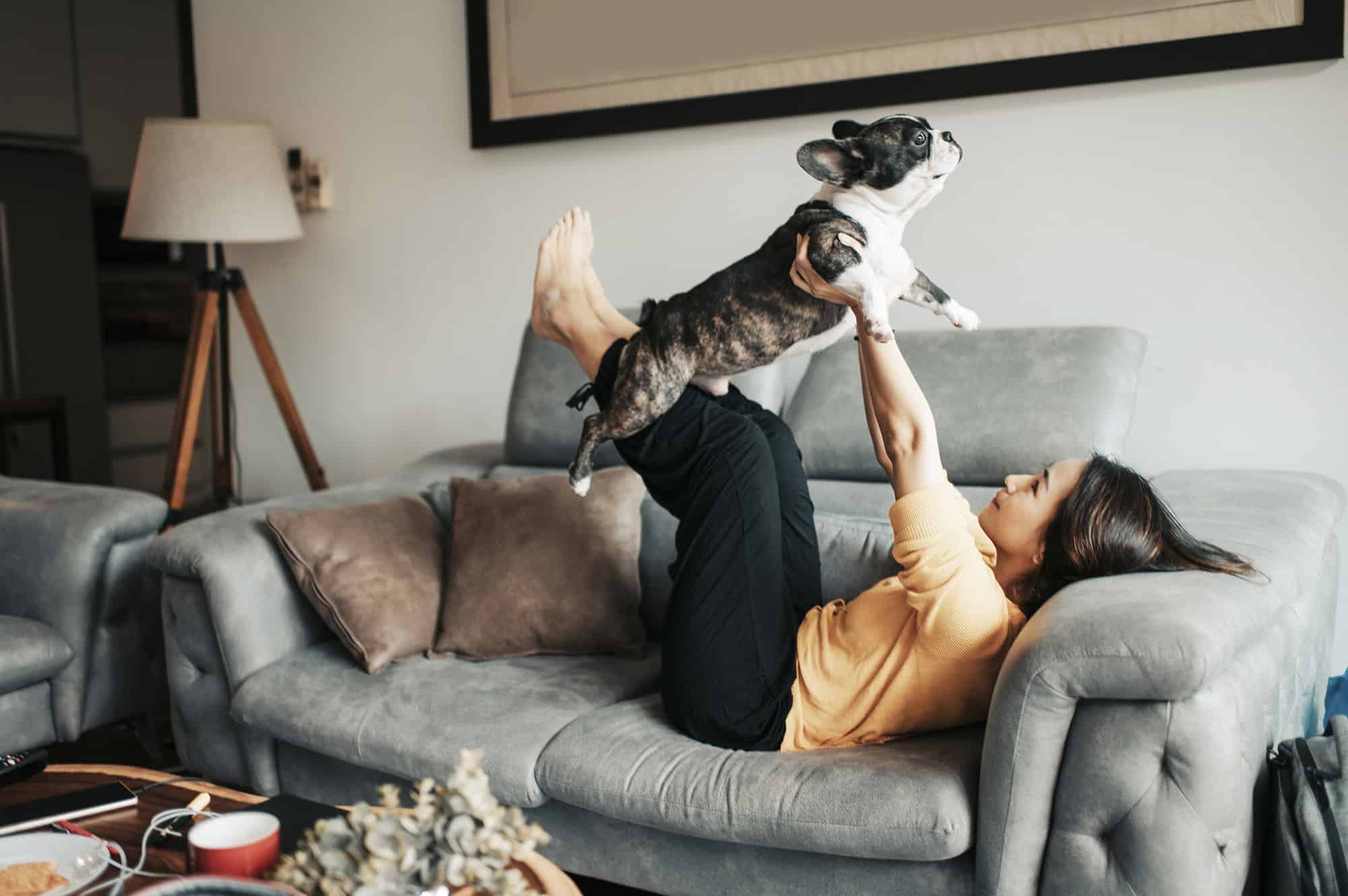 an asian chinese beautiful woman pet owner bonding time with her pet french bulldog on sofa pretend flying